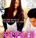 Nonton Film Semi Sales Lady Contract 2020
