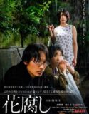 Film Semi Jepang A Spoiling Rain 2024