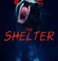 Film Online The Shelter (2024) Sub Indo