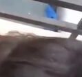 Rumah Sepi Ngga Ada Orang Kakak Adek Ngeue di Teras