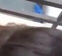 Rumah Sepi Ngga Ada Orang Kakak Adek Ngeue di Teras