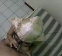 Bokep Indo Tante Hijab Masih Pake Mukena