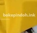 Skandal Ngewe Ibu Dokter