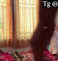 Viral Video Sprei MU Mahasiswi hijab undip