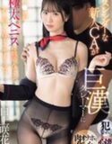 JAV Sub Indo Emika Shirakami Pramugari Cantik Tubuh Ramping Jadi Simpanan Manager