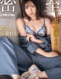 Remu Suzumori Aksi Intim di Ruangan Sempit Penuh Hasrat