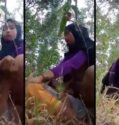 Bokep Mesum Bocil Jilbab Endingnya Maksa