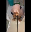 Anjay Uhty Zeylin Dijadiin Peliharaan